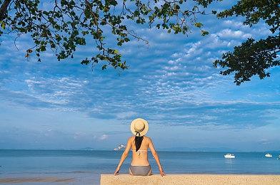 《东方夜雀食堂》2024年5月2日登陆Switch 酒馆经营